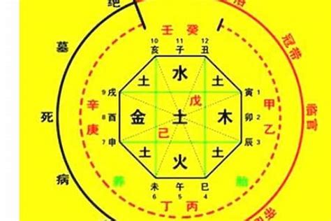 五行喜用|八字喜用神在线查询器,五行喜什么查询免费